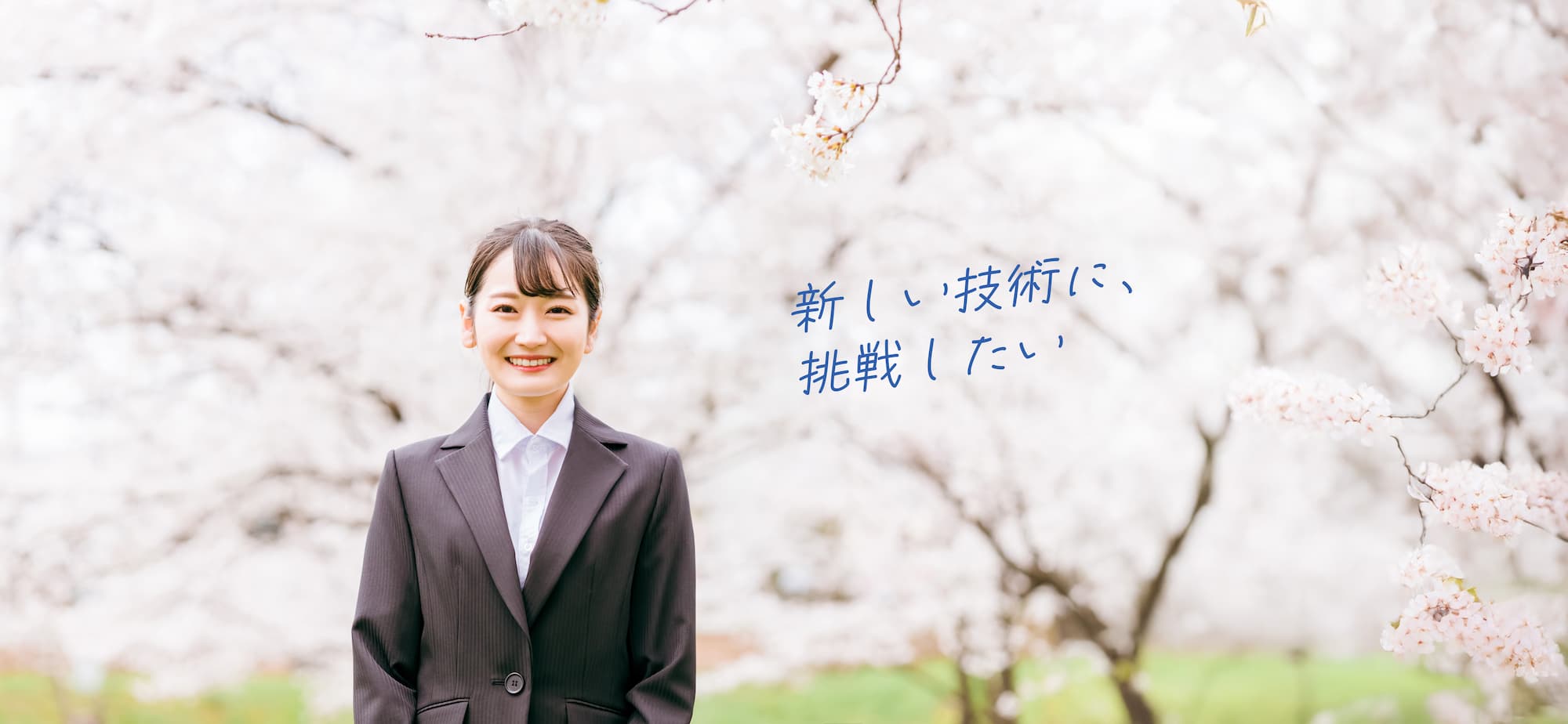 新卒採用情報イメージ画像